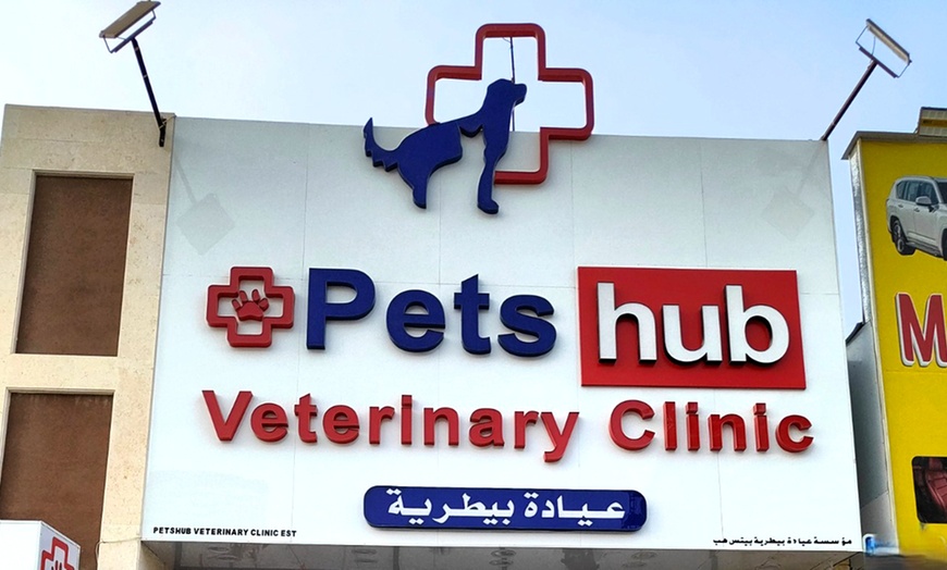 Image 4: Pamper Your Pet w/ Full Grooming for Cats & Dogs (Under or Over 20kg)