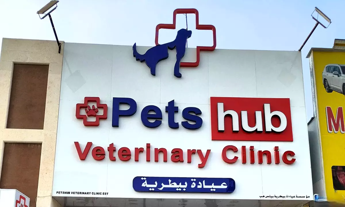 Pamper Your Pet w/ Full Grooming for Cats & Dogs (Under or Over 20kg)