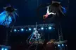 One Ticket to Circus Vegas American Circus (2nd to 19th April, 2026) - Belfast Location (Up to 58% Off) - Image 5