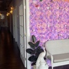 Image 3: 50-Min Reflexology & Massage or Reflexology + 45-Min Head Spa