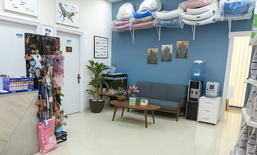 Image 2: Vet Consults & Vaccines for Pets, Birds & Exotics