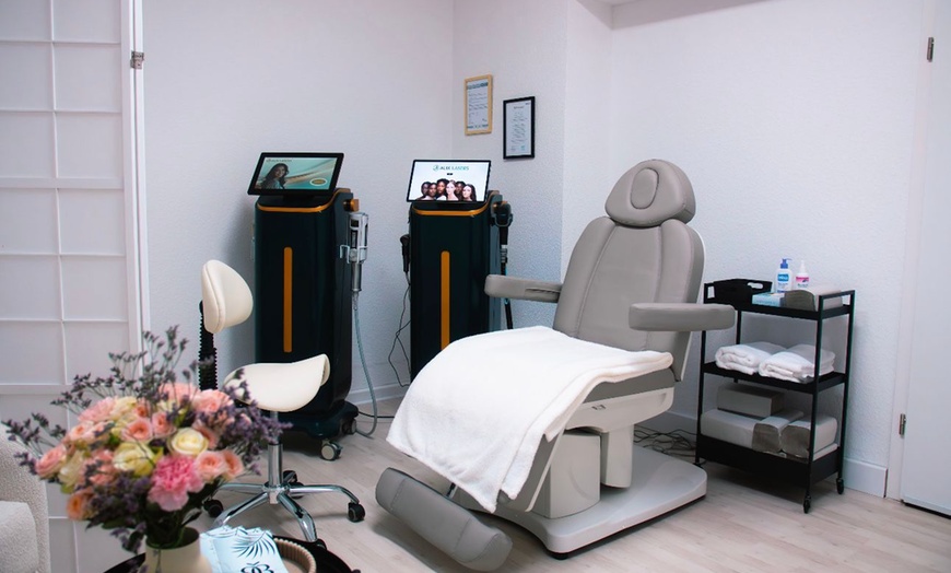 Image 2: Haarentfernung mit 4 Wellen Diodenlaser an den Wunschzonen nach Wahl
