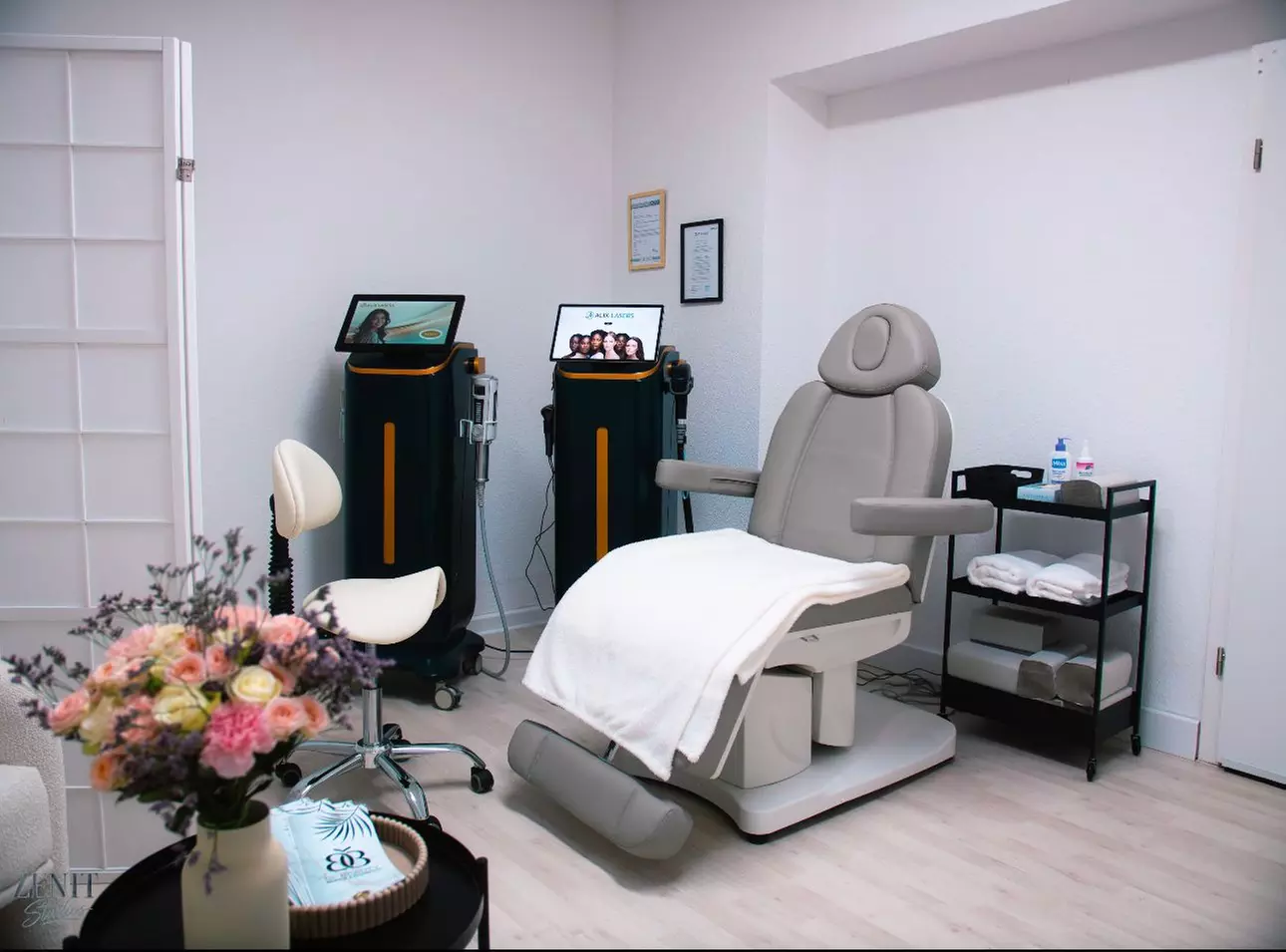 Haarentfernung mit 4 Wellen Diodenlaser an den Wunschzonen nach Wahl