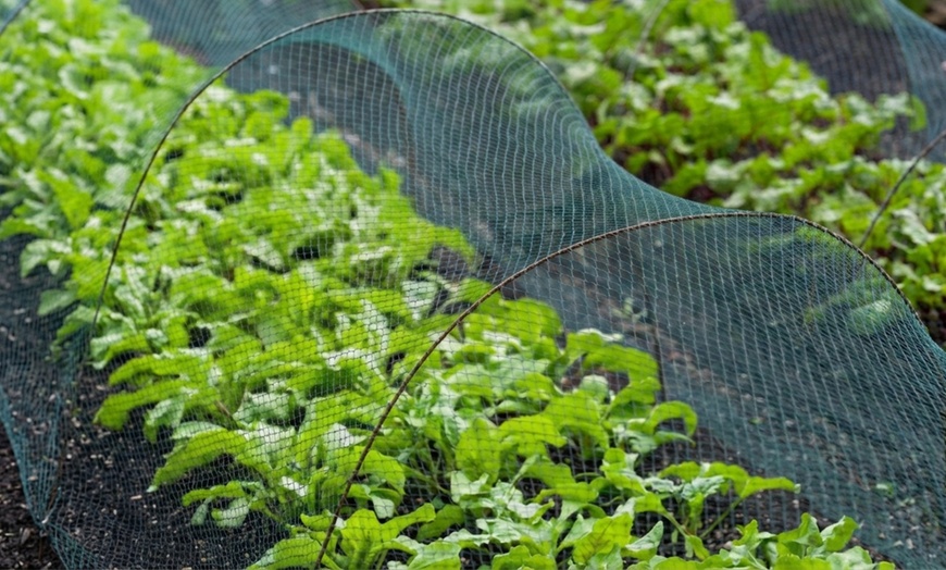 Image 3: Rotolo rete antigrandine