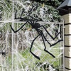 Image 3: Giant Scary Spider Halloween  Prop Yard Decor (4 or 5ft)