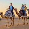 Image 4: Evening Desert Safari with Quad bike at Dubai Executive Tours