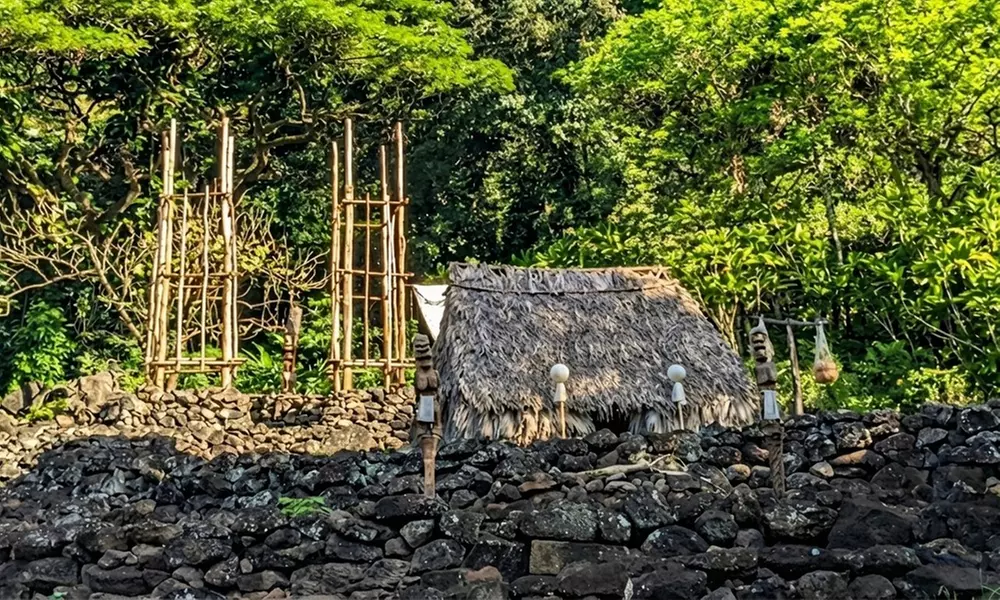 North Shore Shuttle  - Waimea Valley & Haleiwa or Sunset Beach