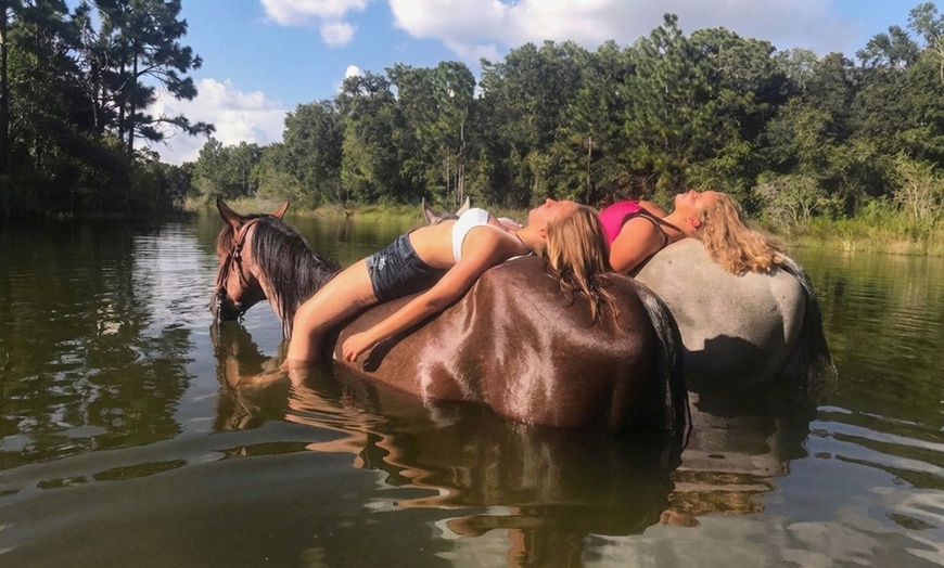 Image 3: Horseback Riding & Swimming with Horses at In The Breeze Ranch