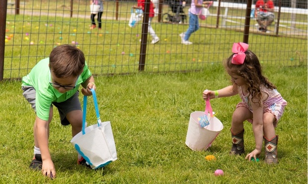 What to expect media