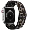Snow Leopard