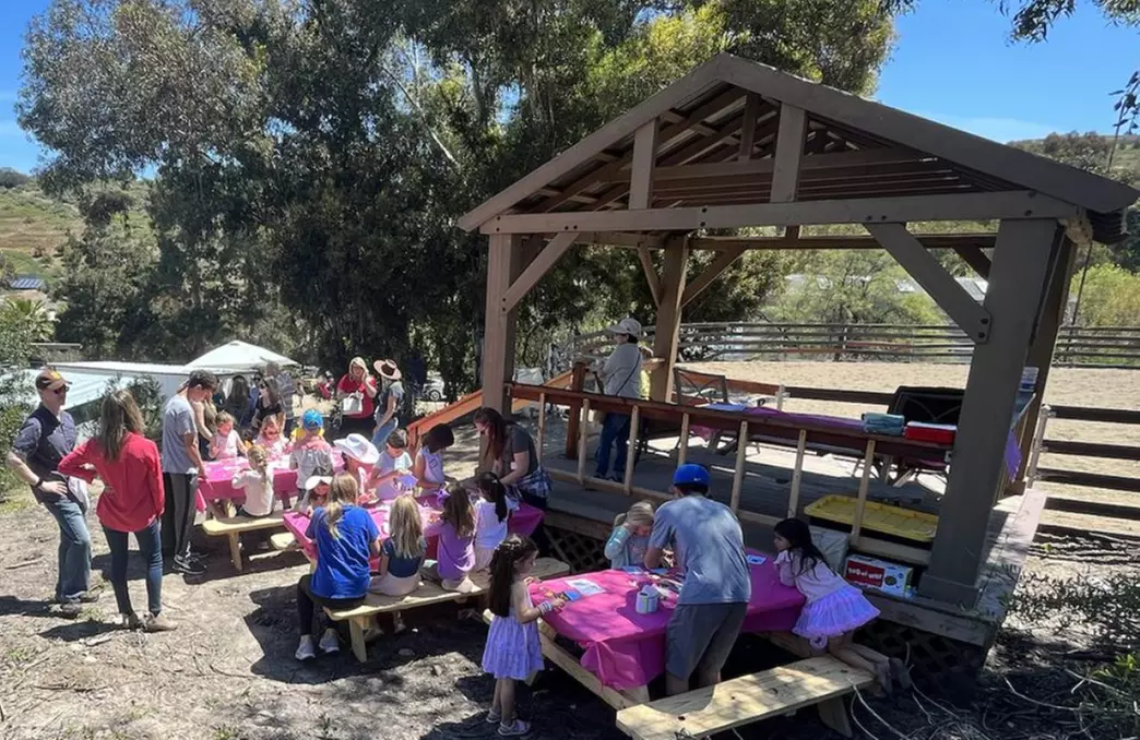 Mommy or Daddy & Me /Animal Petting Experience w/ Optional Horse Party