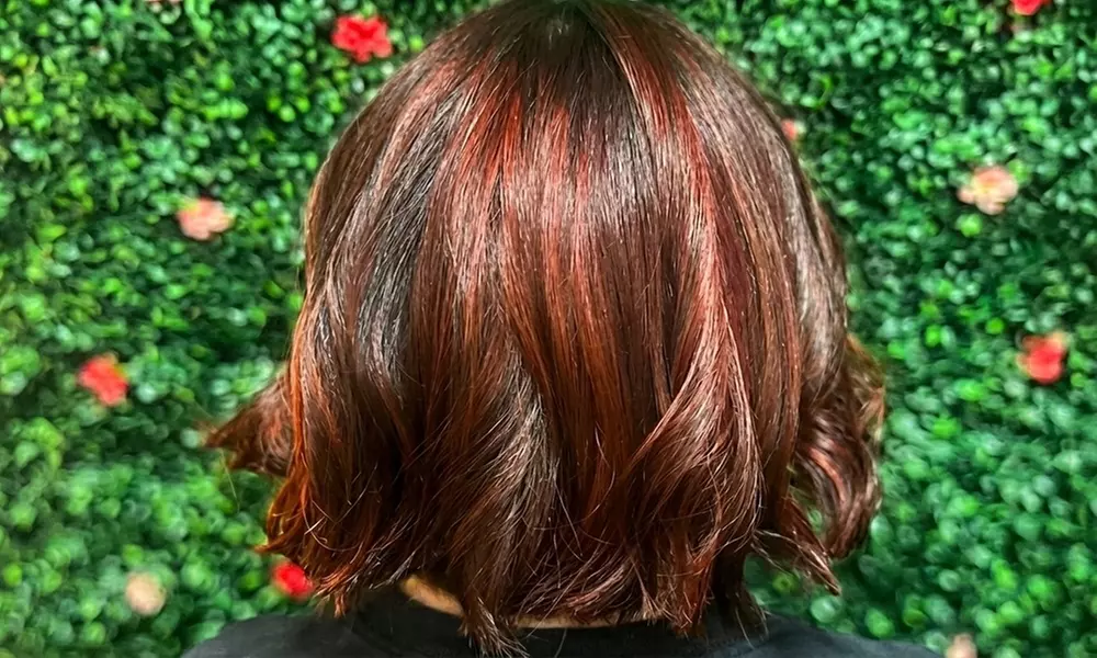 Haircut, Shampoo, Conditioning & Blow-Dry with Optional Color Service