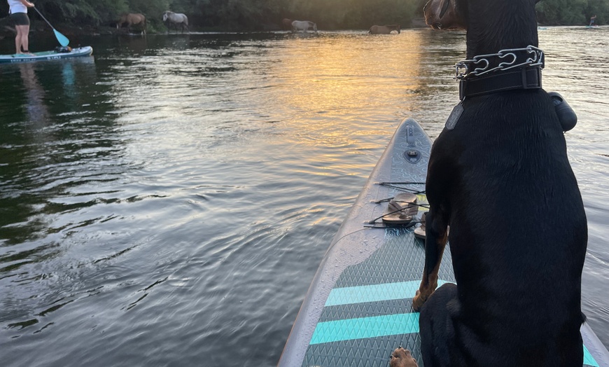 Image 2: Full-Day Paddleboard Rental Offered for 1, 2, 3, or 4 People