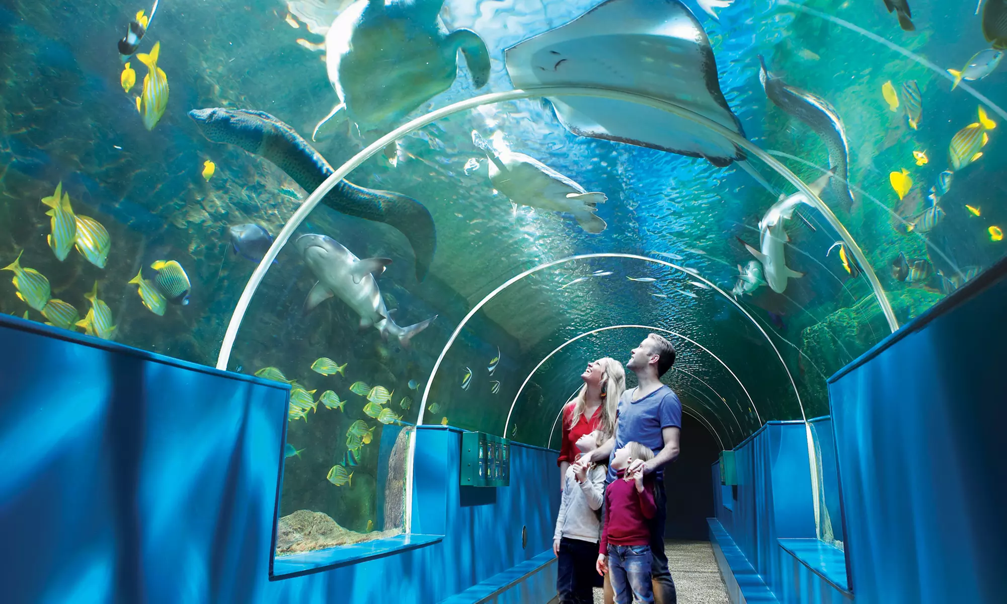 Oceanarium Experience for One Adult, Child, Senior or Family of Upto 5
