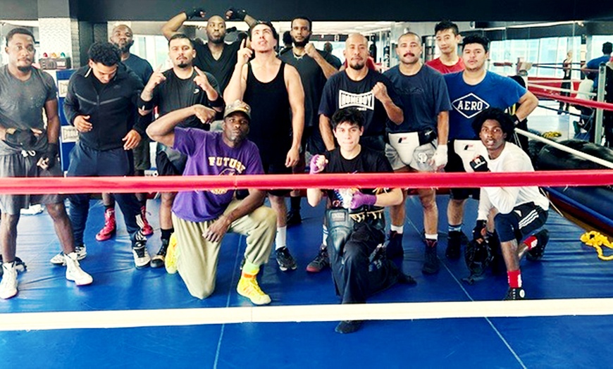 Image 3: Private Boxing Sessions - Enhance Fitness & Self-Defense
