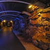 Image 6: Arigna Mining Experience Tour: Explore a Historic Irish Coal Mine