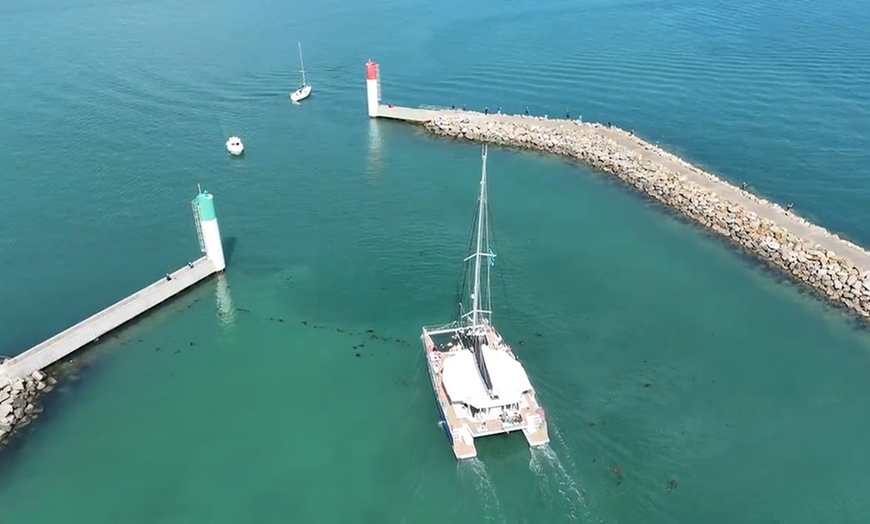 Image 17: Croisière en catamaran au choix de 2h30 ou 4h30 avec Navéol