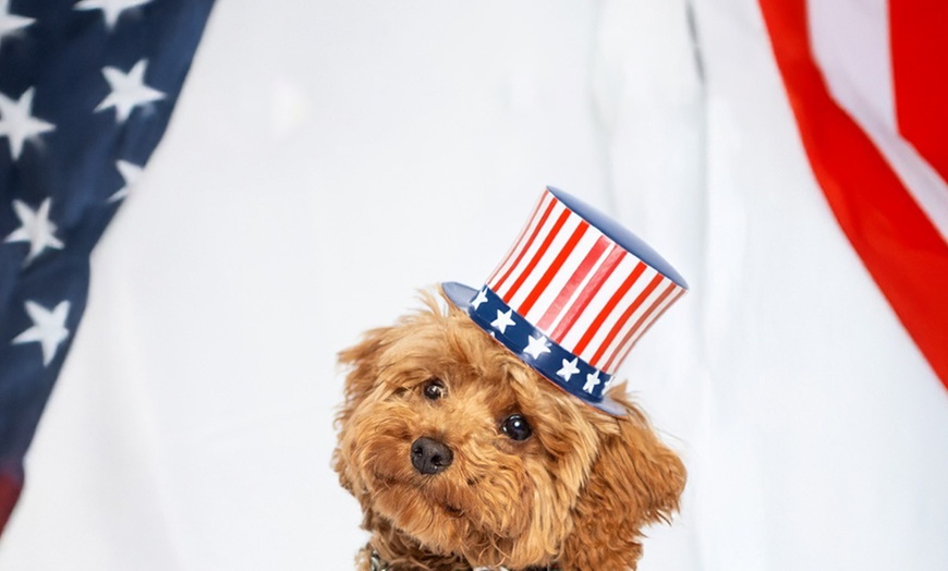 Image 3: 30-Min Pet Photoshoot – Solo or with Owner + Photo Package Included
