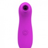 Image 2: 10 Speeds Clitoral Suction Vibrator Oral Kissing Nipples Sucker Climaxer Sex Toy