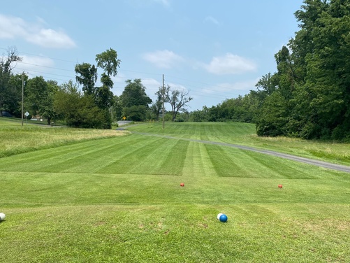 What to expect media