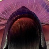 Image 1: Tre Lux Wellness Lounge Offers  Japanese Scalp Massage (Up To 27% Off)