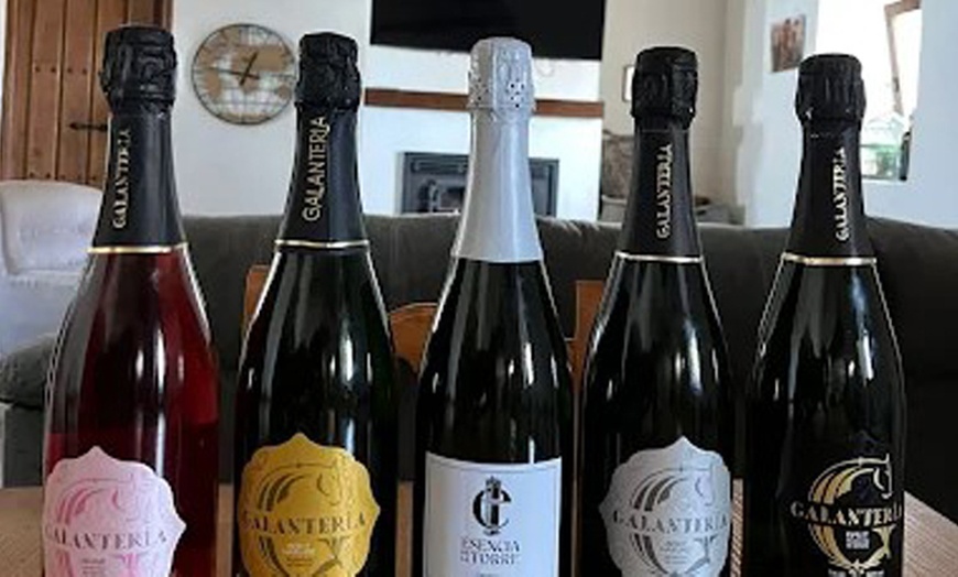 Image 13: Visita a bodega y cata de 5 vinos premiados o almuerzo/cena para 2 o 4