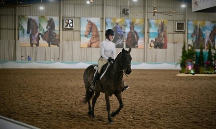 One 1-Hour Private Horseback Riding Lesson (For 1) - Hazelwood Stables