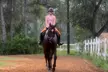 Up to 20% Off on Horse Back Riding at Crosspoint Equestrian - Second Medium