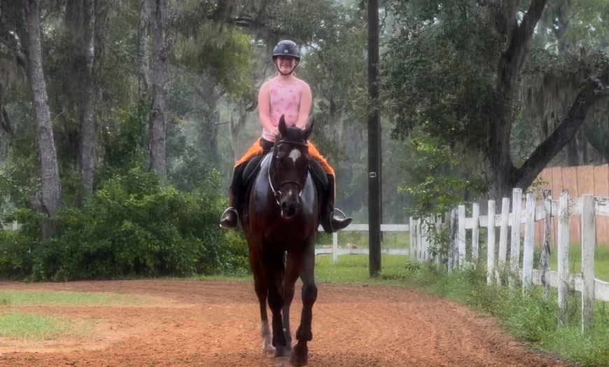 Image 2: Up to 20% Off on Horse Back Riding at Crosspoint Equestrian