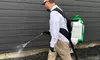 Up to 73% Off on Pest Control Service - General at Nest Pest Control LLC