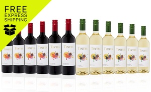 12 Bottles of Tintes Chilean Wine from Coffee and Wine Co