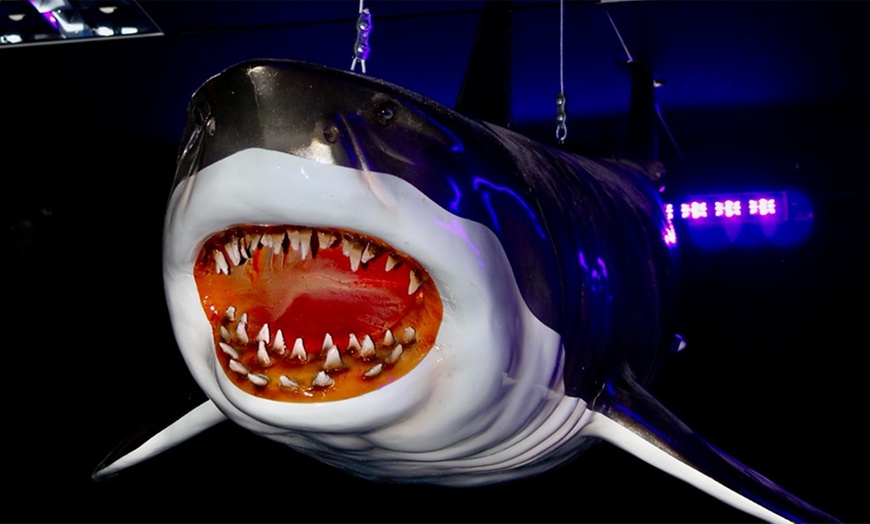 Image 6: Mini Golf for a Family of 4