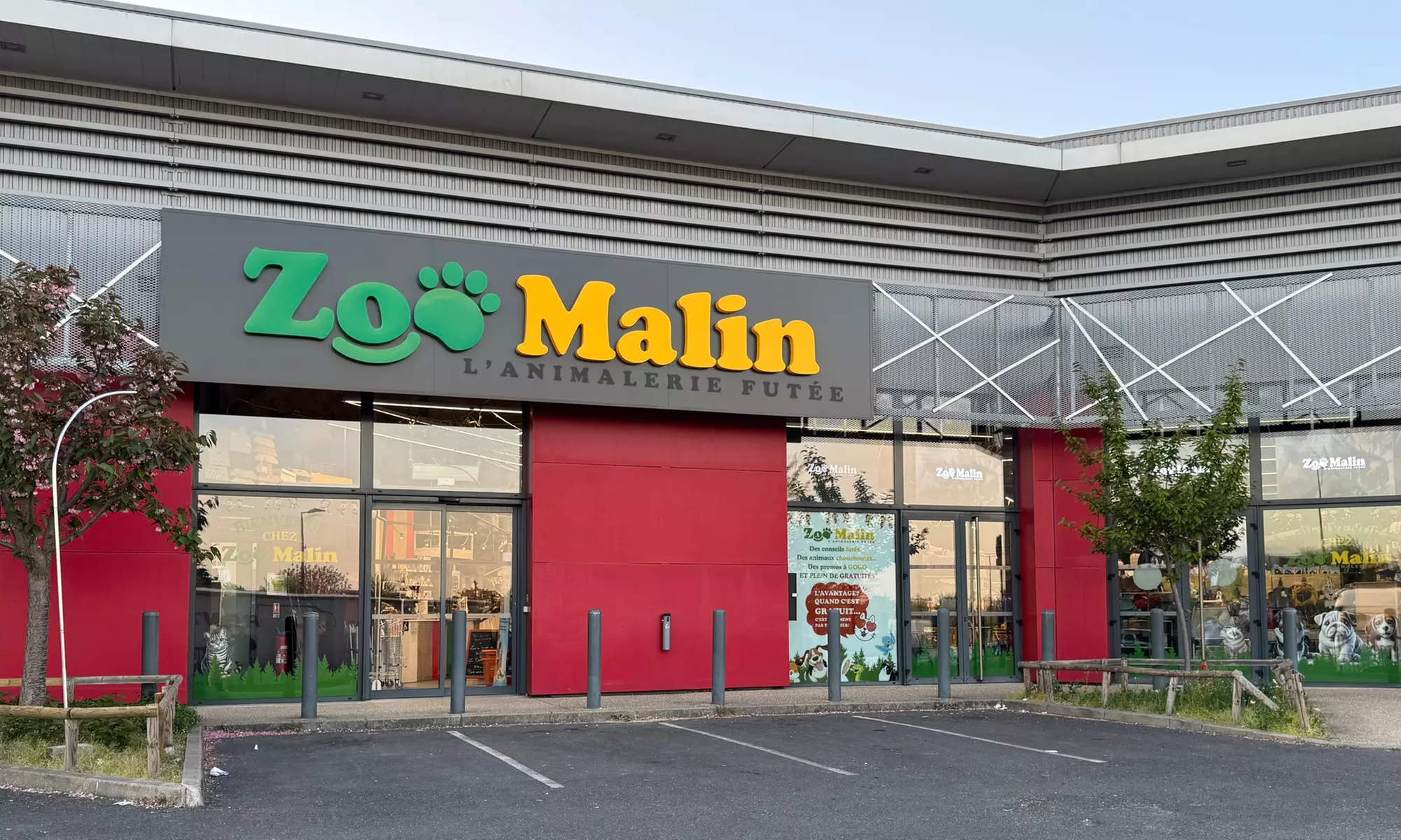 Lavage chiens simple ou en duo chez ZooMalin