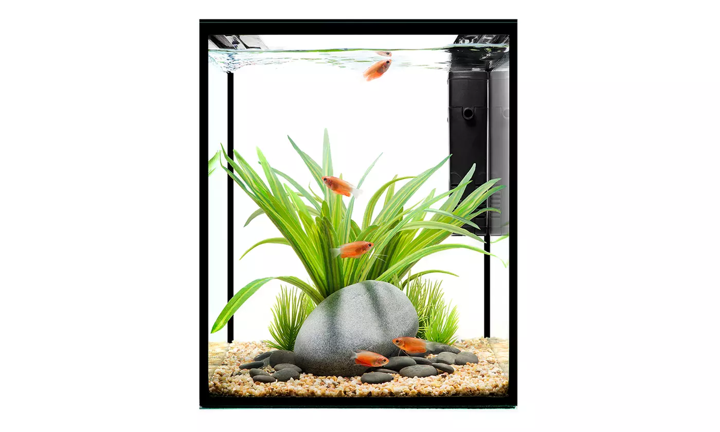 Desktop 5-Gal Aquarium with Remote-Controlled LED Lighting by Current USA - Second Medium