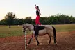 Excitement Awaits: Horse Vaulting Lessons or Gymnastics On Horseback at Victorious Vaulters ( Up to 59% Off ) - Second Medium