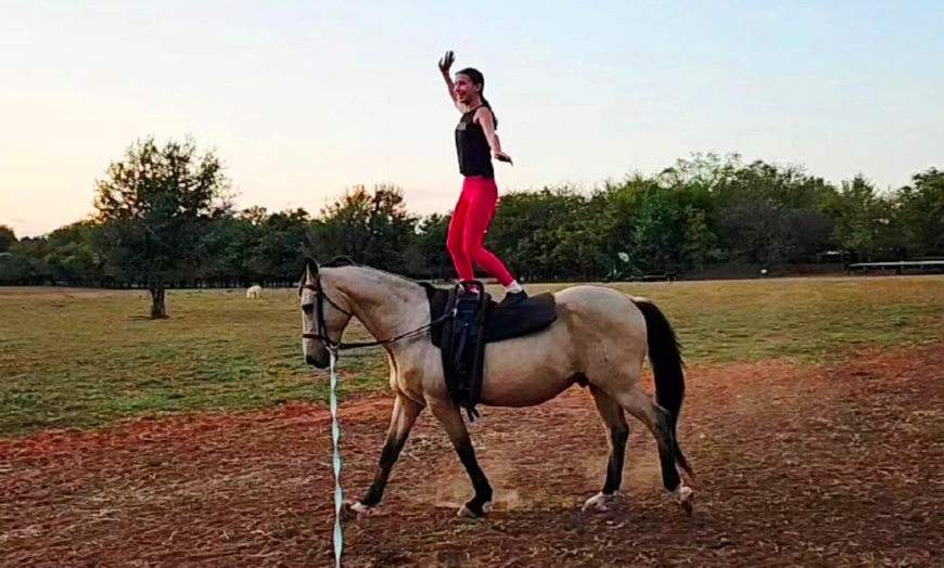Image 5: Enjoy Horse Vaulting Lessons or Gymnastics On Horseback
