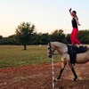 Image 5: Enjoy Horse Vaulting Lessons or Gymnastics On Horseback
