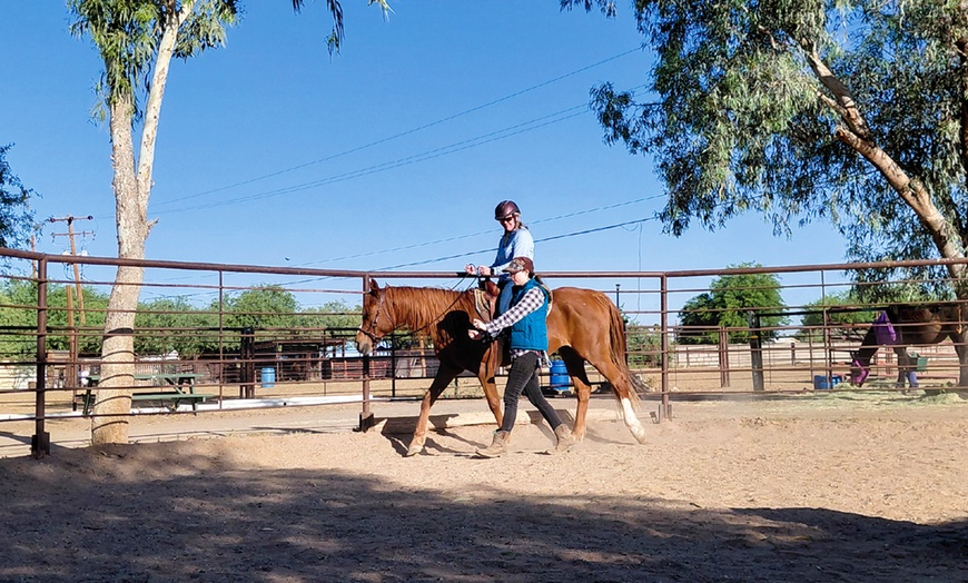 Image 7: Fun Horse Riding Lesson or Summer Horse Camp