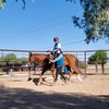 Image 7: Fun Horse Riding Lesson or Summer Horse Camp