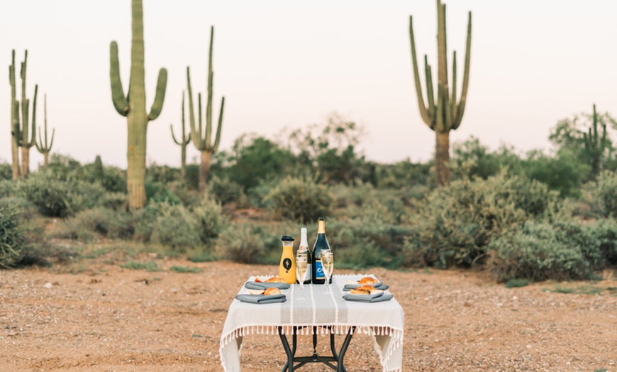 Image 6: Experience Stunning Sonoran Desert Views 2000 Ft. Above The Ground