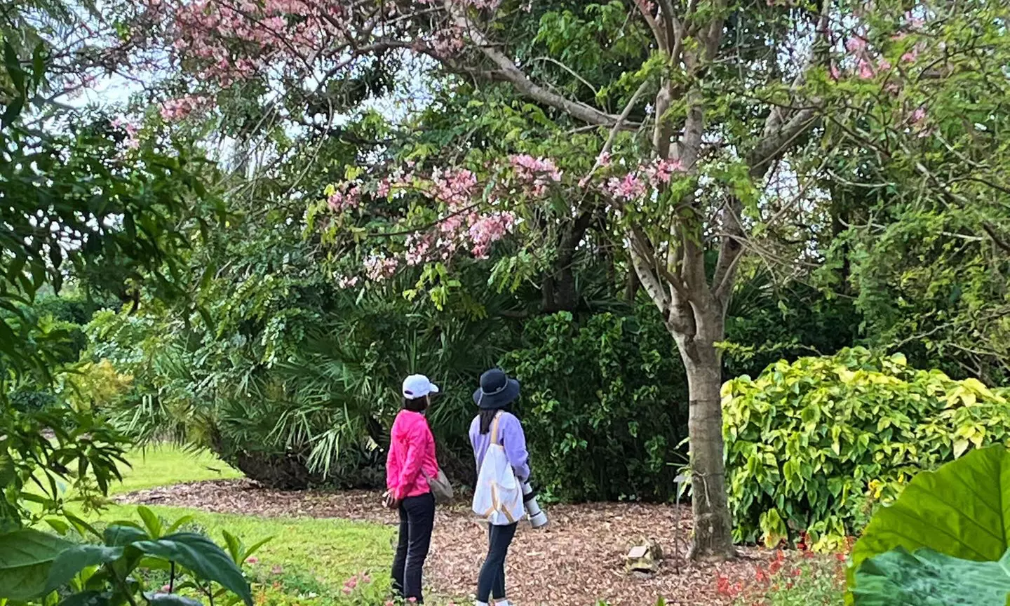 Step Into Nature’s Wonderland at Mounts Garden with GA Tickets
