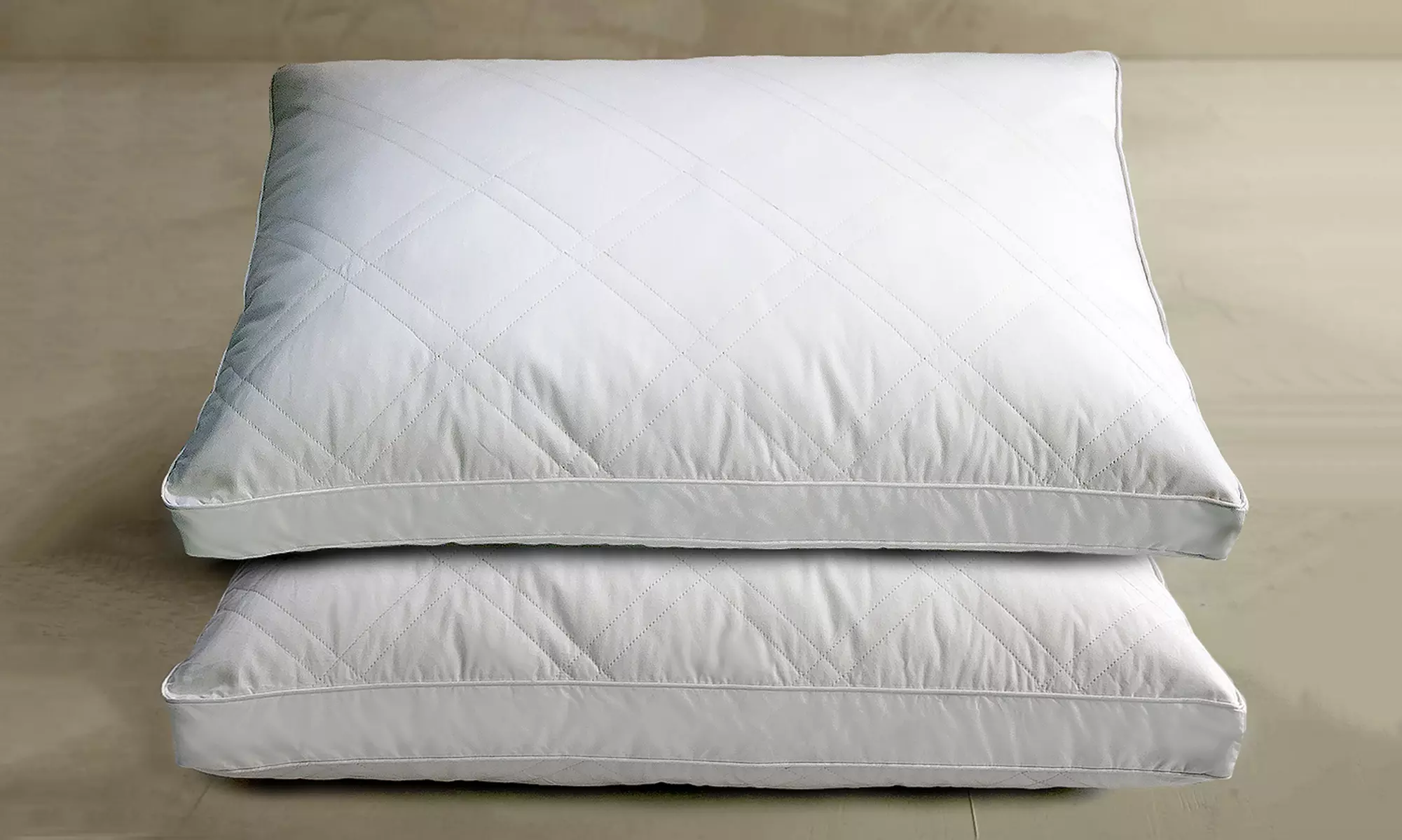 Goose Feather Down Pillow (2-Pack) - Primary Image