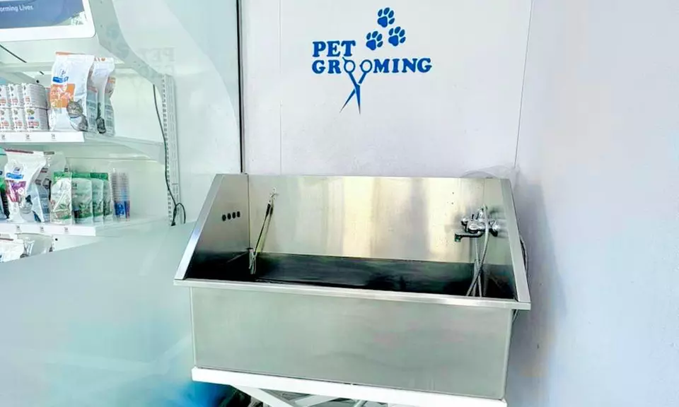 Pet Boarding & Daycare Packages for Cats and Dogs of All Sizes