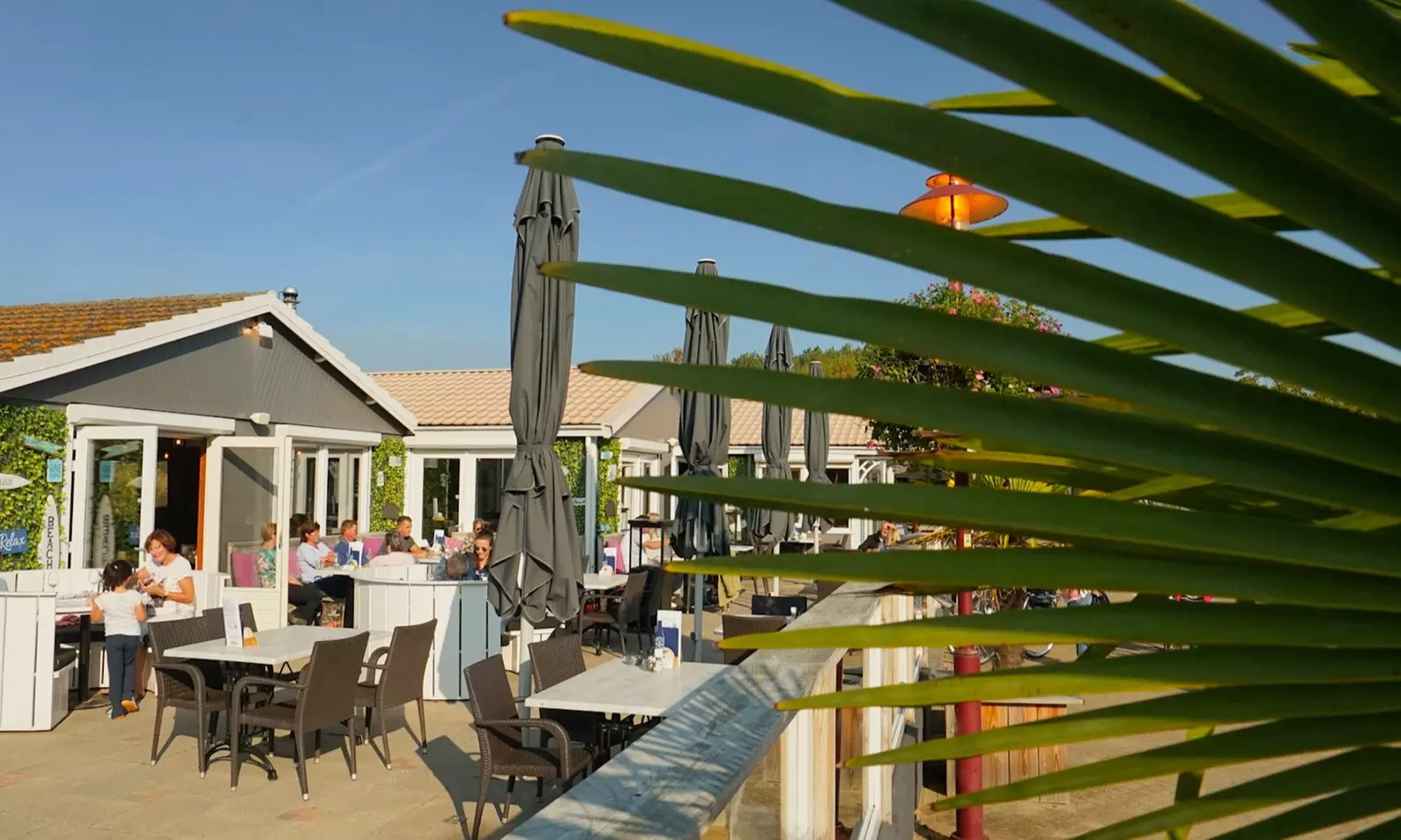 Zonnen, uitwaaien & smullen bij Beach West (tot 40% korting)!