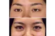 Lash Lift or Tint, Volume, Mega, or Classic Extensions with Optional Fill at Blink Wink Lash (Up to 47% Off) - Second Medium