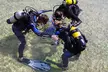 Discover the Wonders of the Sea with Scuba Warehouse's Scuba Lesson for Two or Four People (Up to 29% Off) - Image 2