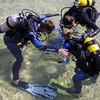 Image 1: Dive into Adventure: Scuba Lesson for Two or Four People