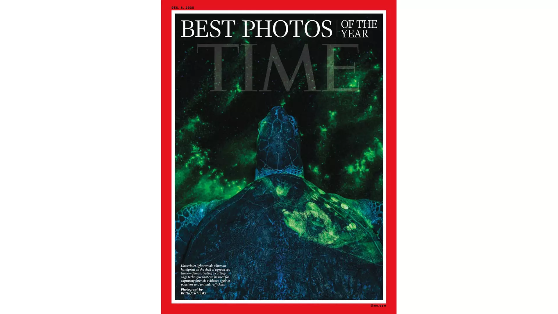 Subscription to TIME Magazine (Up to 93% Off). Two Options Available. - Primary Image