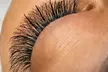 Extensions de cils et rehaussement coréen avec Lash Isla (jusqu'à 50% de remise) - Second Medium