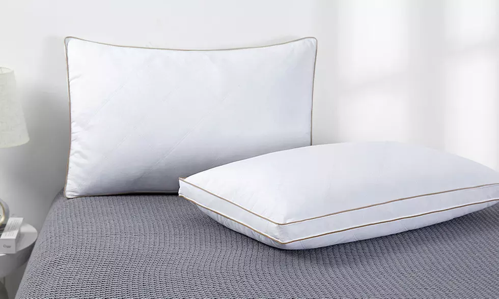 Peace Nest 2 Pack Quilted Goose Feather Down Pillow with Cotton Fabric
